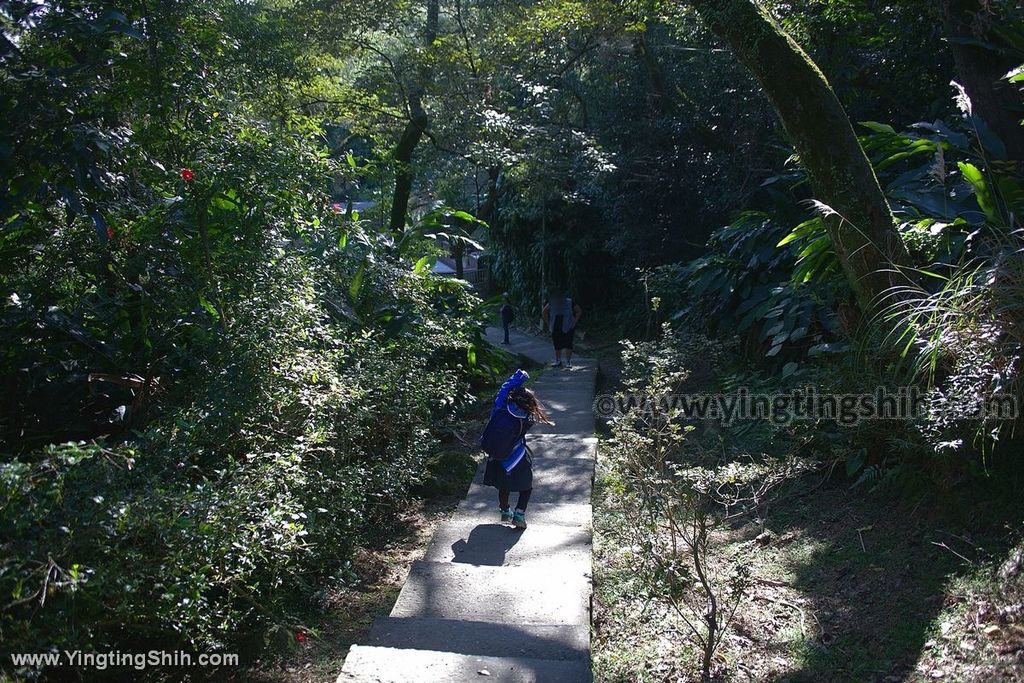 YTS_YTS_20191228_新北樹林青龍嶺登山步道／青德宮／青峰山莊慈來宮觀景台New Taipei Shulin039_539A9456.jpg