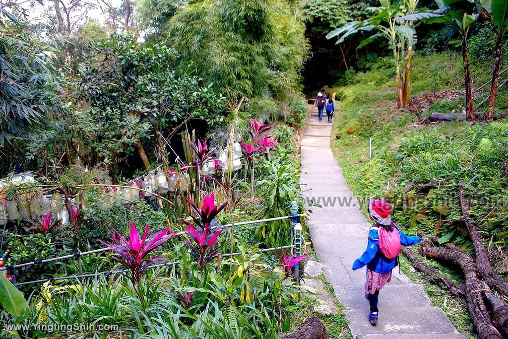 YTS_YTS_20191228_新北樹林青龍嶺登山步道／青德宮／青峰山莊慈來宮觀景台New Taipei Shulin053_539A9477.jpg