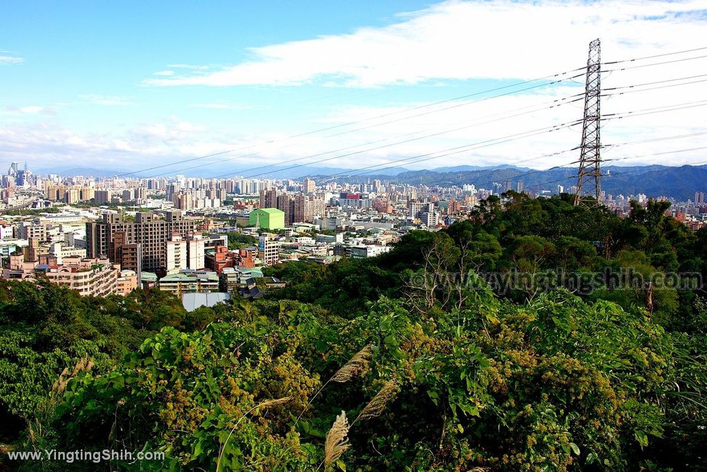 YTS_YTS_20191228_新北樹林青龍嶺登山步道／青德宮／青峰山莊慈來宮觀景台New Taipei Shulin073_539A9518.jpg