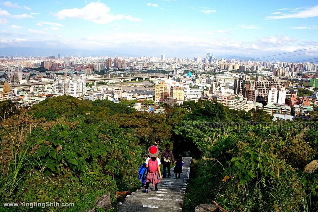 YTS_YTS_20191228_新北樹林青龍嶺登山步道／青德宮／青峰山莊慈來宮觀景台New Taipei Shulin074_539A9514.jpg