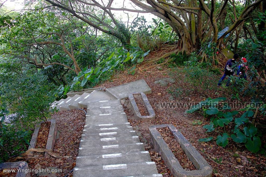 YTS_YTS_20191228_新北樹林青龍嶺登山步道／青德宮／青峰山莊慈來宮觀景台New Taipei Shulin076_539A9520.jpg