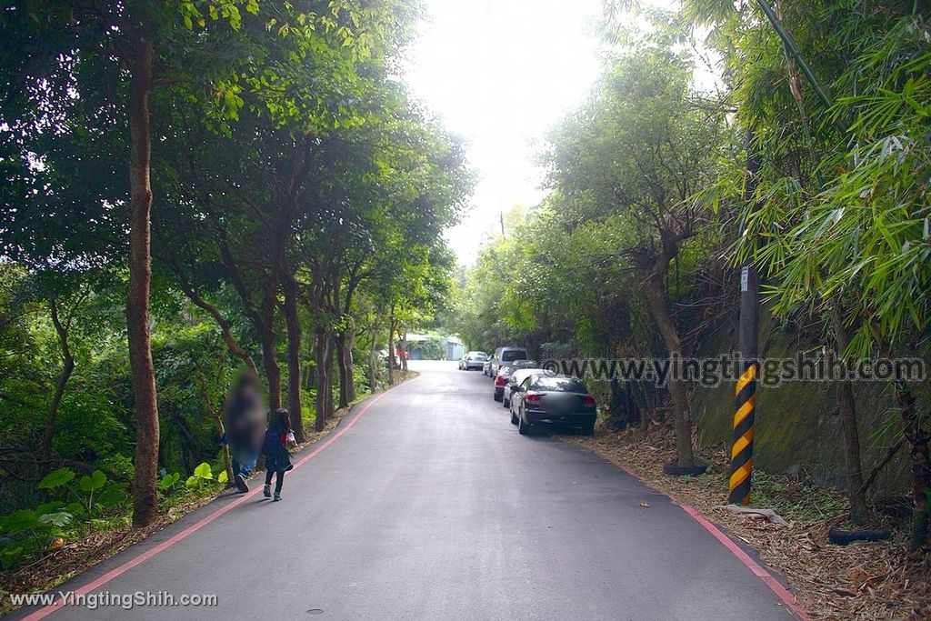 YTS_YTS_20191228_新北樹林青龍嶺登山步道／青德宮／青峰山莊慈來宮觀景台New Taipei Shulin098_539A9555.jpg