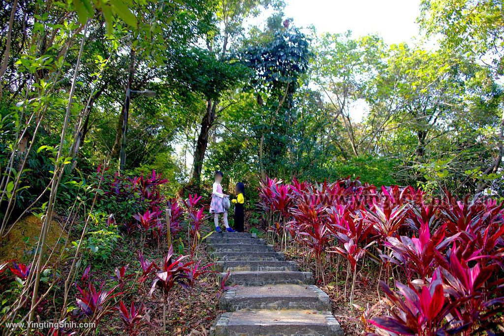 YTS_YTS_20200111_新北中和圓通禪寺／極樂院／壁湖怪石／一線天／中和八景New Taipei Zhonghe072_539A3631.jpg