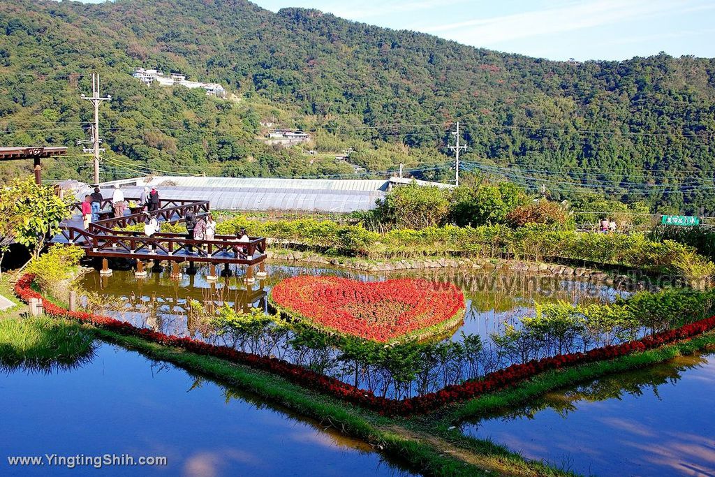 YTS_YTS_20200104_台北內湖春秋步道／白石湖吊橋／同心池／後湖濕地／夫妻樹Taipei Neihu Baishihu062_539A1452.jpg