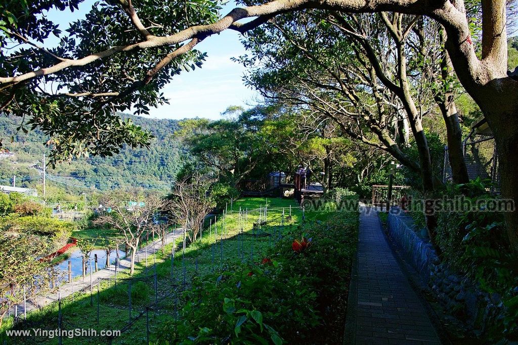 YTS_YTS_20200104_台北內湖春秋步道／白石湖吊橋／同心池／後湖濕地／夫妻樹Taipei Neihu Baishihu067_539A1528.jpg