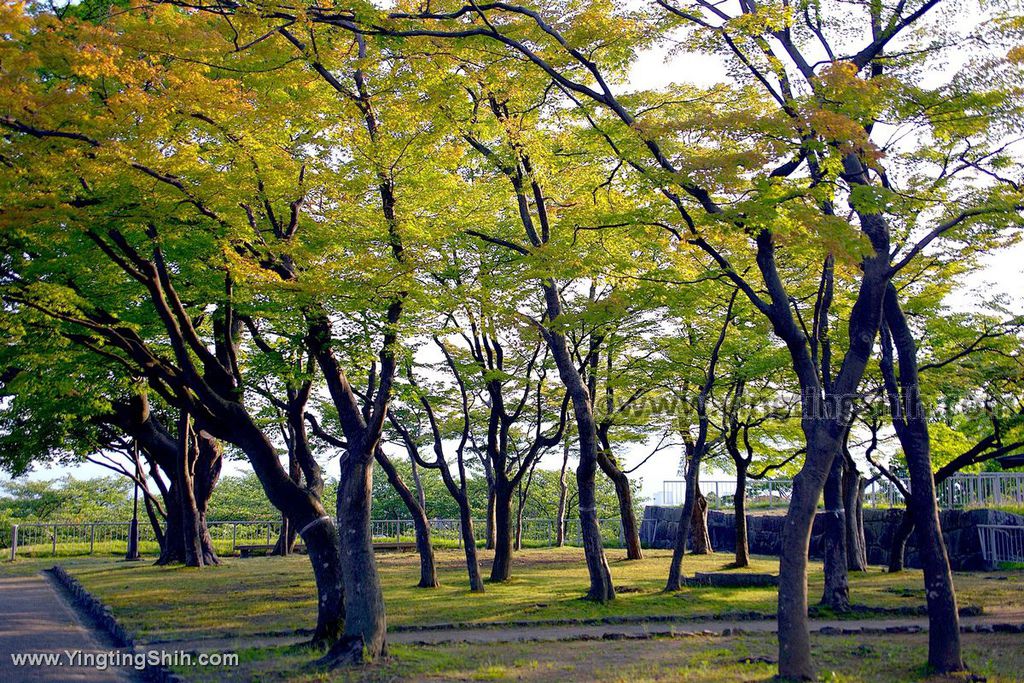 YTS_YTS_20190725_日本東北岩手盛岡城跡公園／岩手公園／歷史文化館Japan Tohoku Iwate098_539A4380.jpg