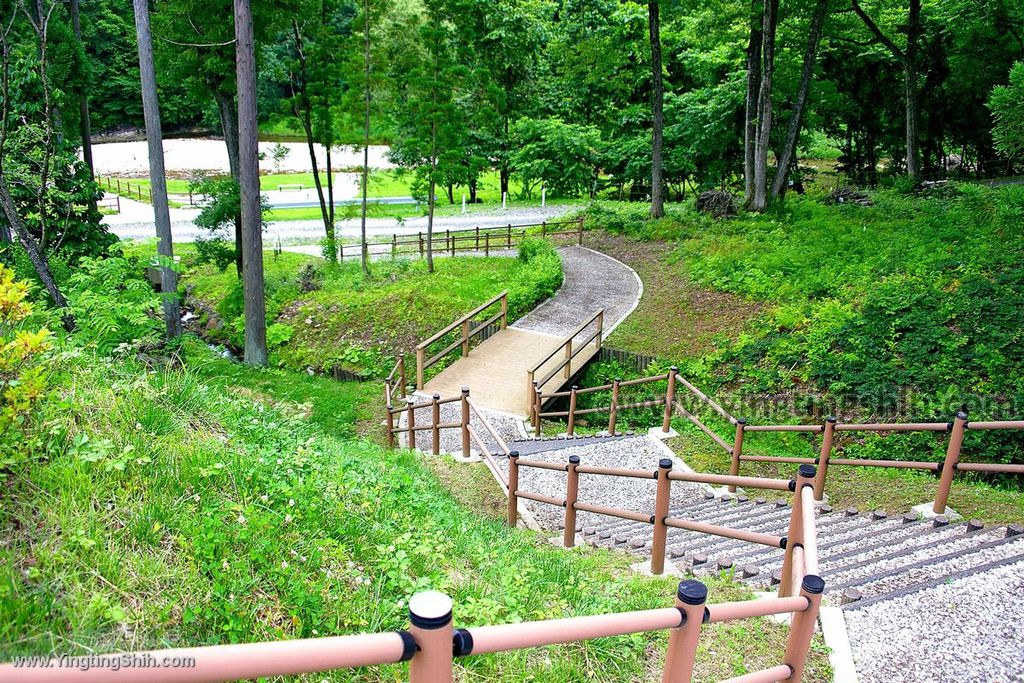 YTS_YTS_20190725_日本東北岩手雫石御所矢櫃の渓流／矢櫃地區水邊園地Japan Tohoku Iwate011_539A1856.jpg