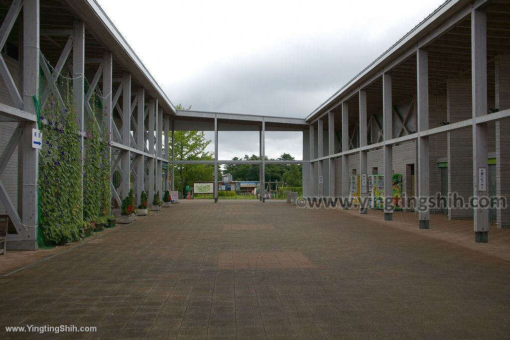 YTS_YTS_20190822_日本東北宮城仙台市八木山動物公園Japan Tohoku Miyagi016_539A8136.jpg