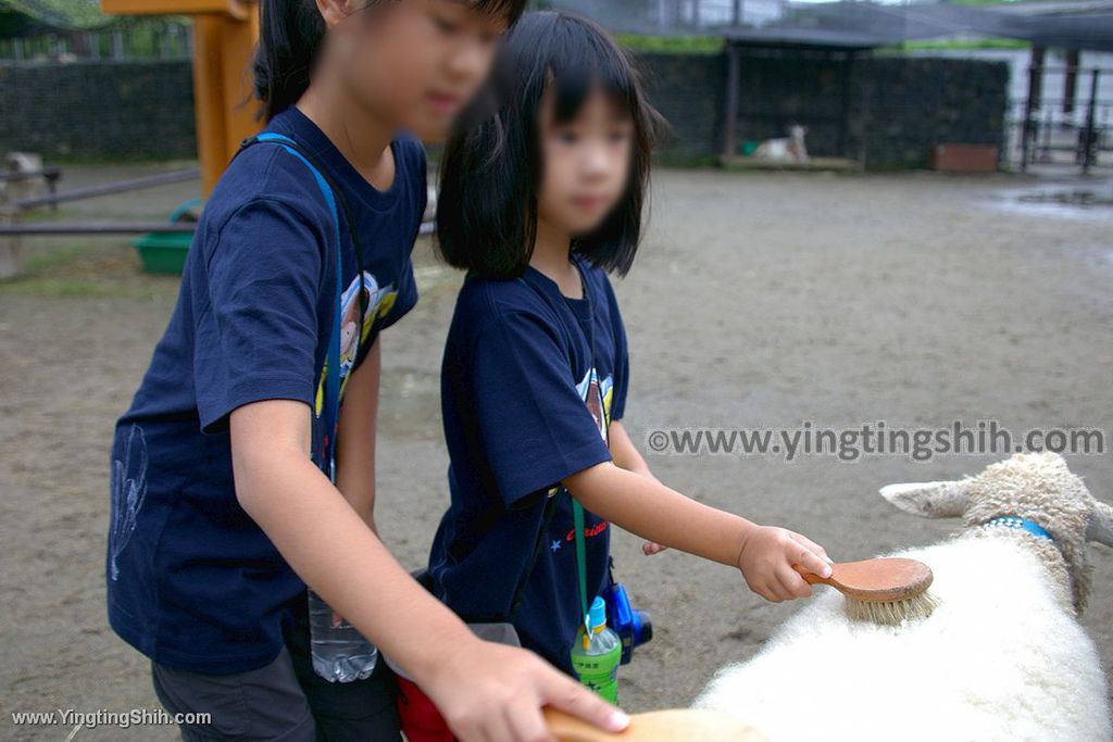 YTS_YTS_20190822_日本東北宮城仙台市八木山動物公園Japan Tohoku Miyagi106_539A8607.jpg