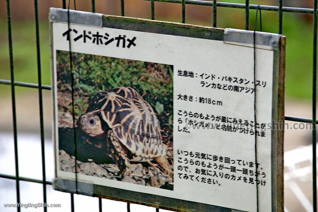 YTS_YTS_20190822_日本東北宮城仙台市八木山動物公園Japan Tohoku Miyagi128_539A8641.jpg