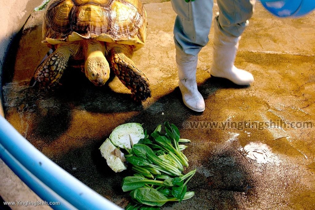 YTS_YTS_20190822_日本東北宮城仙台市八木山動物公園Japan Tohoku Miyagi159_539A8932.jpg