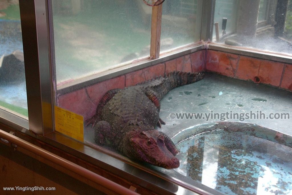 YTS_YTS_20190822_日本東北宮城仙台市八木山動物公園Japan Tohoku Miyagi176_539A8802.jpg