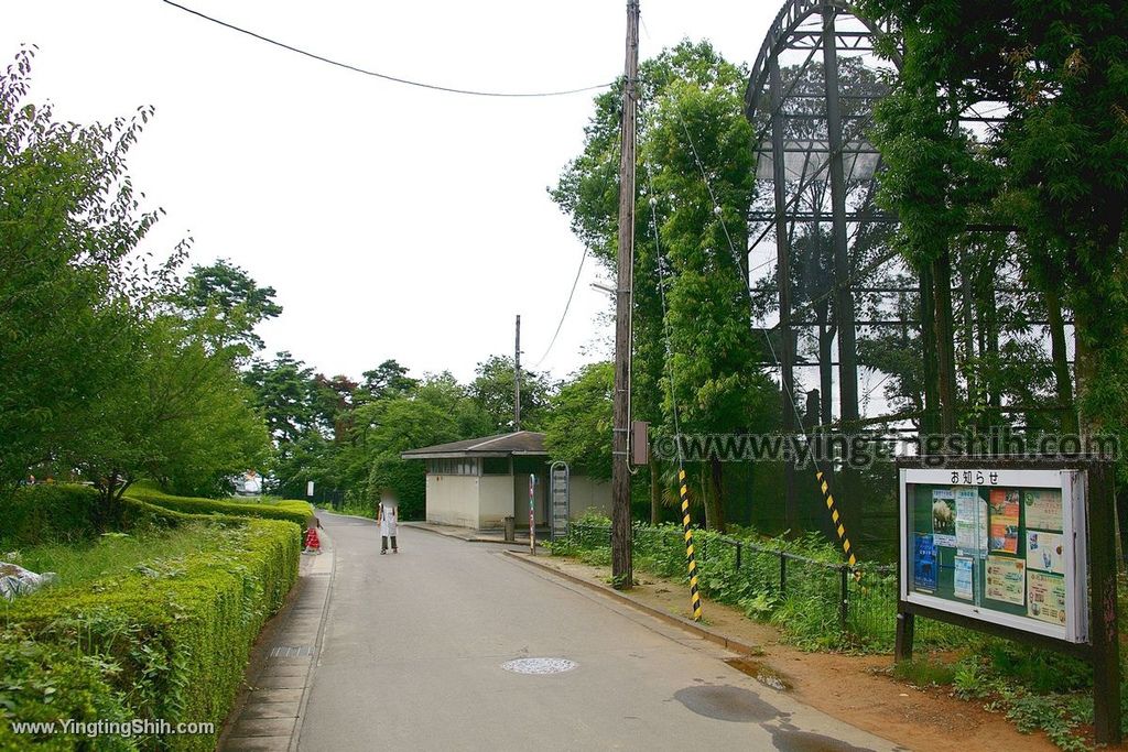 YTS_YTS_20190822_日本東北宮城仙台市八木山動物公園Japan Tohoku Miyagi180_539A9067.jpg