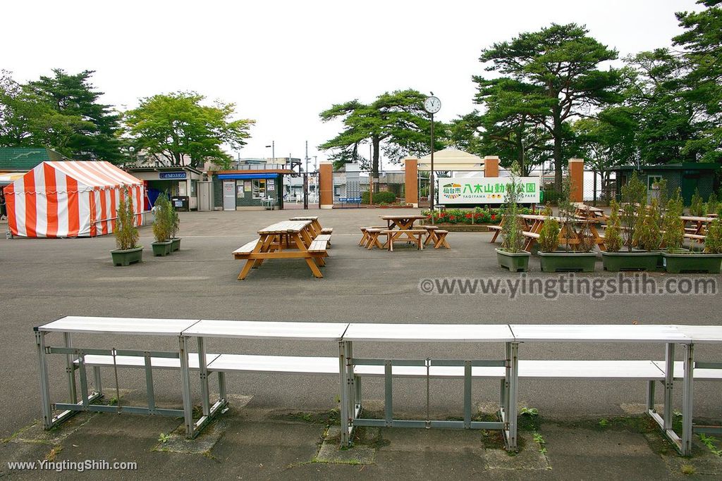 YTS_YTS_20190822_日本東北宮城仙台市八木山動物公園Japan Tohoku Miyagi188_539A9089.jpg