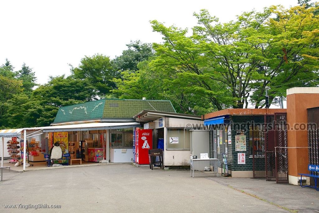 YTS_YTS_20190822_日本東北宮城仙台市八木山動物公園Japan Tohoku Miyagi194_539A9075.jpg