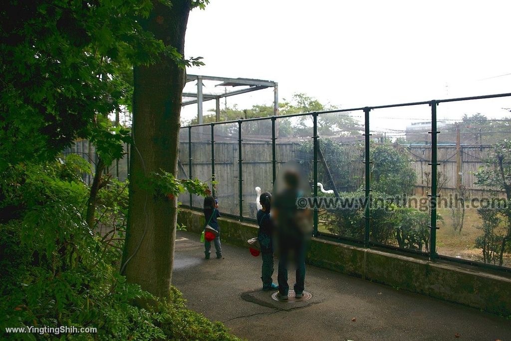 YTS_YTS_20190822_日本東北宮城仙台市八木山動物公園Japan Tohoku Miyagi220_539A9124.jpg