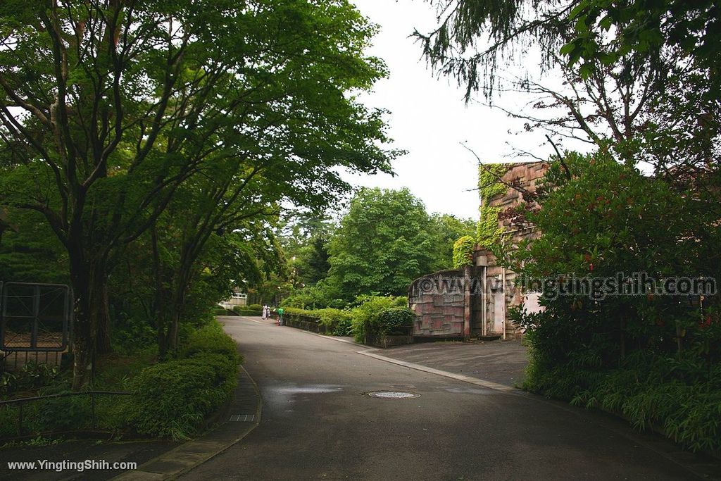 YTS_YTS_20190822_日本東北宮城仙台市八木山動物公園Japan Tohoku Miyagi234_539A9216.jpg