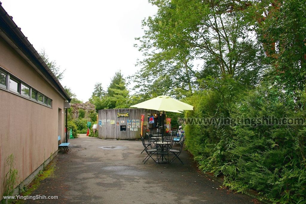 YTS_YTS_20190822_日本東北宮城仙台市八木山動物公園Japan Tohoku Miyagi237_539A9219.jpg