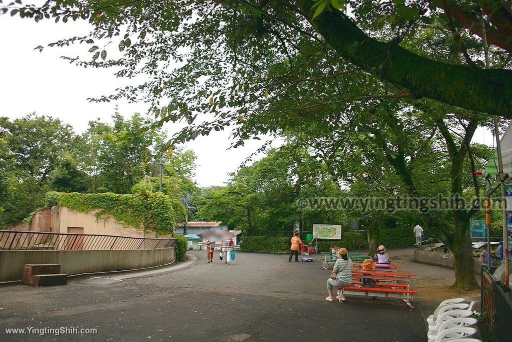 YTS_YTS_20190822_日本東北宮城仙台市八木山動物公園Japan Tohoku Miyagi240_539A9222.jpg