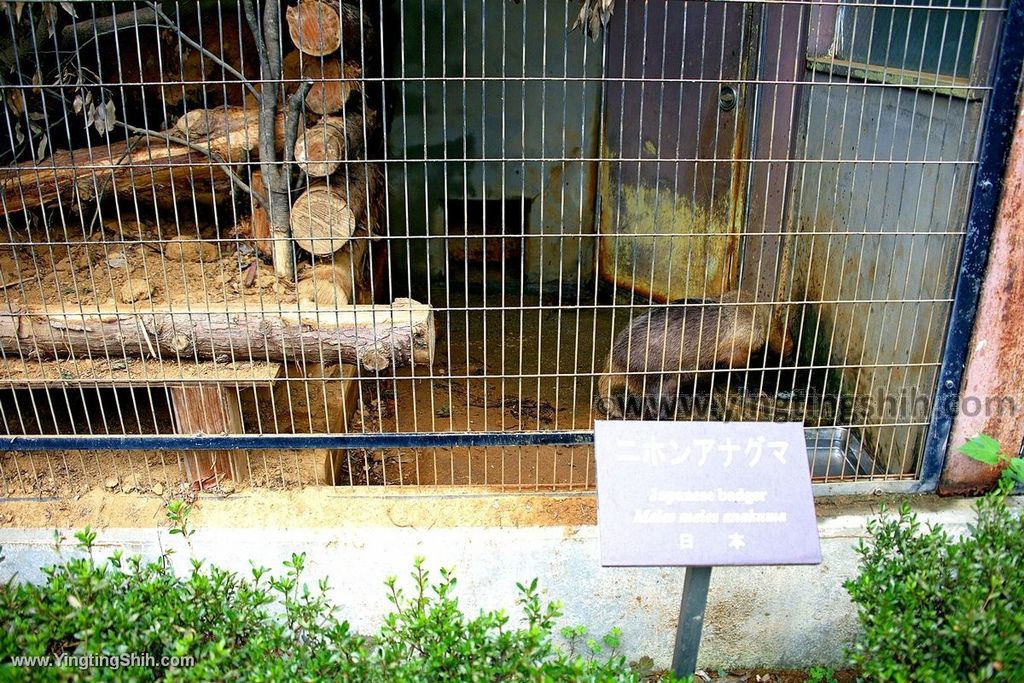 YTS_YTS_20190822_日本東北宮城仙台市八木山動物公園Japan Tohoku Miyagi269_539A9441.jpg