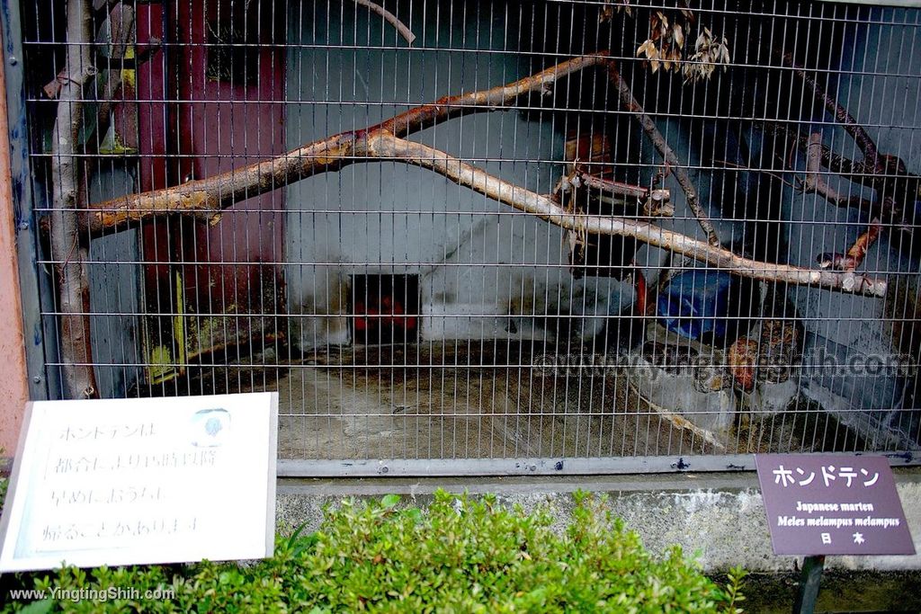 YTS_YTS_20190822_日本東北宮城仙台市八木山動物公園Japan Tohoku Miyagi273_539A9451.jpg