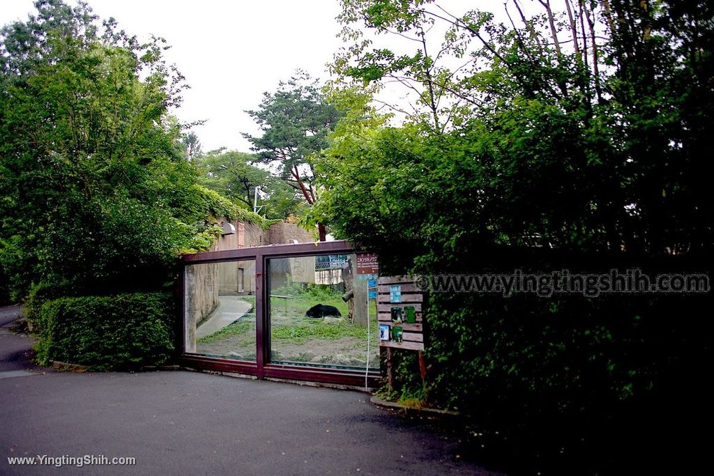 YTS_YTS_20190822_日本東北宮城仙台市八木山動物公園Japan Tohoku Miyagi286_539A9496.jpg