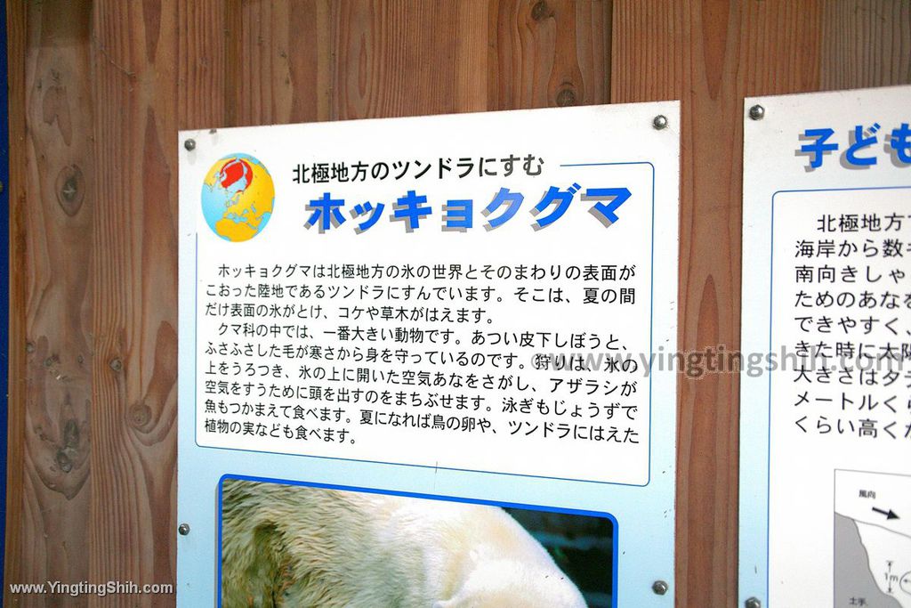 YTS_YTS_20190822_日本東北宮城仙台市八木山動物公園Japan Tohoku Miyagi308_539A9556.jpg