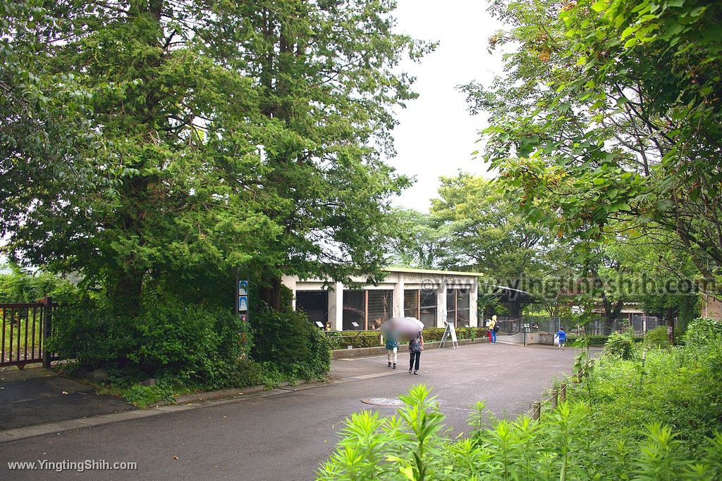 YTS_YTS_20190822_日本東北宮城仙台市八木山動物公園Japan Tohoku Miyagi319_539A9757.jpg