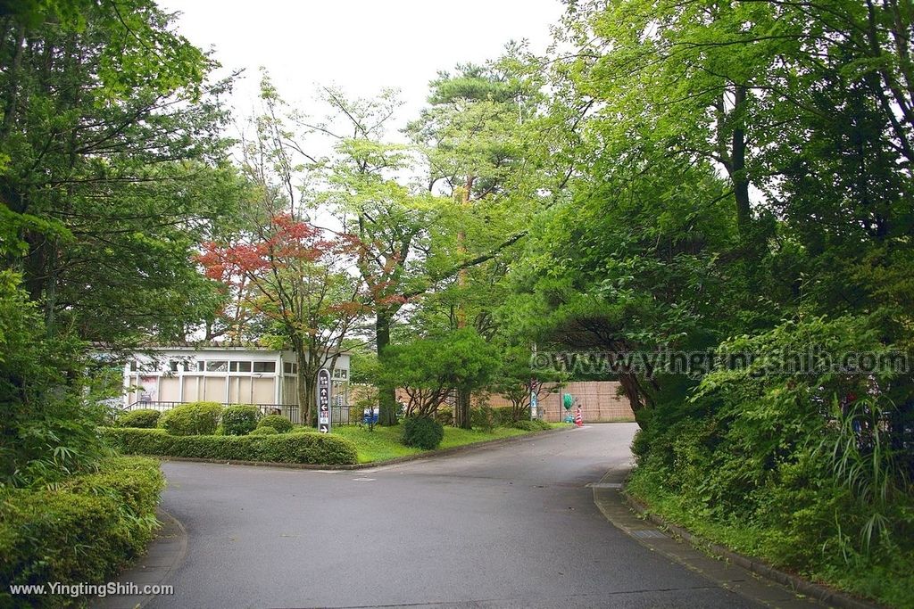 YTS_YTS_20190822_日本東北宮城仙台市八木山動物公園Japan Tohoku Miyagi364_539A9942.jpg