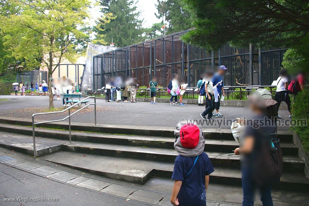 YTS_YTS_20190822_日本東北宮城仙台市八木山動物公園Japan Tohoku Miyagi366_539A9944.jpg