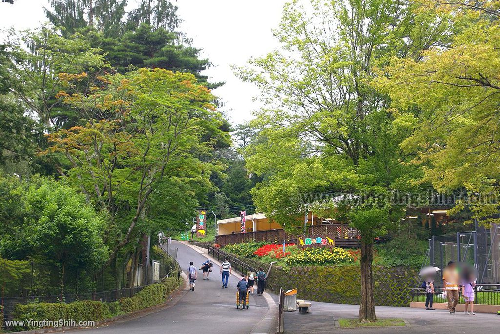 YTS_YTS_20190822_日本東北宮城仙台市八木山動物公園Japan Tohoku Miyagi367_539A9945.jpg