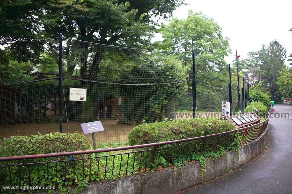 YTS_YTS_20190822_日本東北宮城仙台市八木山動物公園Japan Tohoku Miyagi369_539A9947.jpg