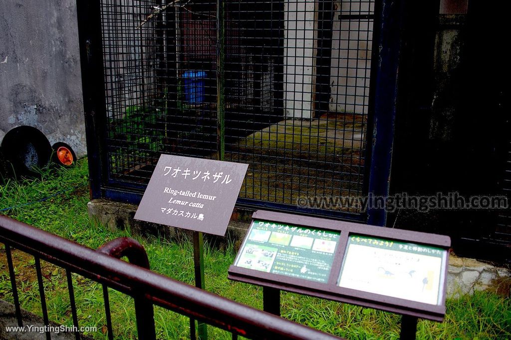 YTS_YTS_20190822_日本東北宮城仙台市八木山動物公園Japan Tohoku Miyagi383_539A0048.jpg