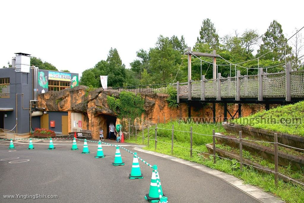 YTS_YTS_20190822_日本東北宮城仙台市八木山動物公園Japan Tohoku Miyagi416_539A0217.jpg