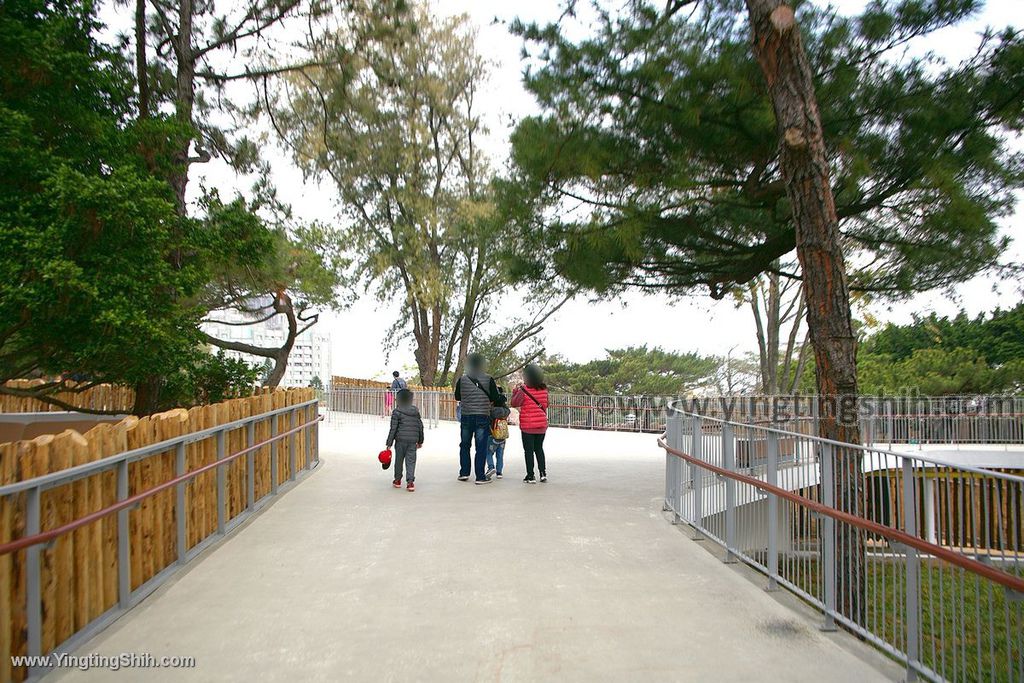 YTS_YTS_20200222_新竹東區新竹市立動物園Hsinchu East Hsinchu Zoo009_539A8608.jpg