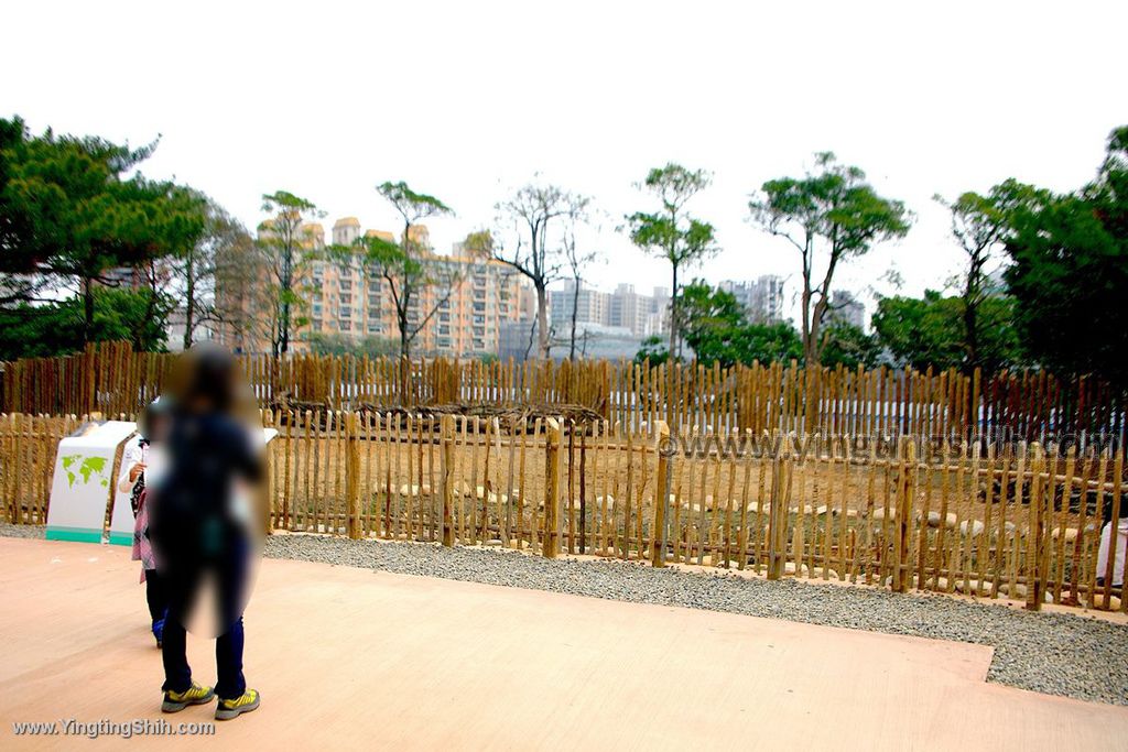 YTS_YTS_20200222_新竹東區新竹市立動物園Hsinchu East Hsinchu Zoo018_539A8637.jpg