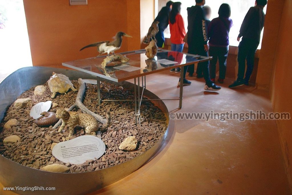 YTS_YTS_20200222_新竹東區新竹市立動物園Hsinchu East Hsinchu Zoo031_539A8668.jpg