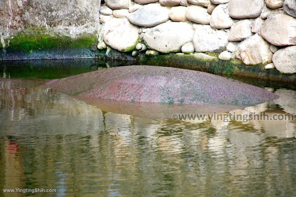 YTS_YTS_20200222_新竹東區新竹市立動物園Hsinchu East Hsinchu Zoo049_539A8712.jpg