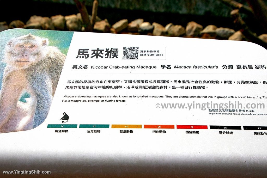 YTS_YTS_20200222_新竹東區新竹市立動物園Hsinchu East Hsinchu Zoo075_539A8827.jpg