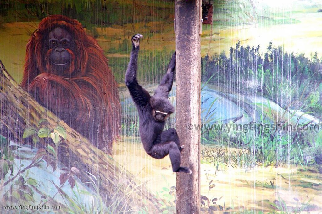 YTS_YTS_20200222_新竹東區新竹市立動物園Hsinchu East Hsinchu Zoo090_539A8882.jpg