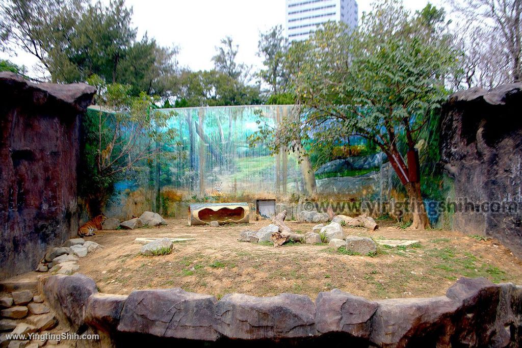 YTS_YTS_20200222_新竹東區新竹市立動物園Hsinchu East Hsinchu Zoo093_539A8903.jpg