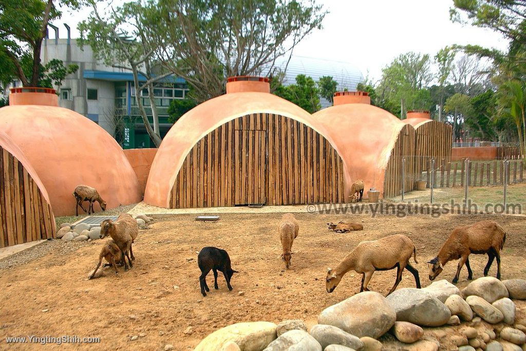 YTS_YTS_20200222_新竹東區新竹市立動物園Hsinchu East Hsinchu Zoo116_539A9018.jpg