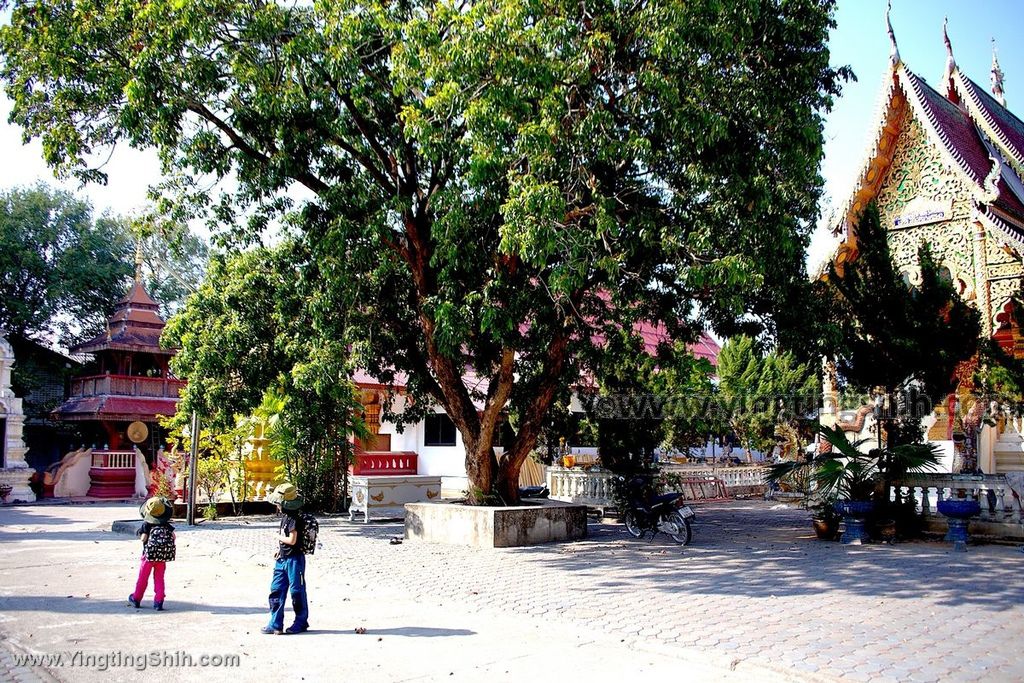 YTS_YTS_20200201_泰國南奔烏蒙寺／金色臥佛Thailand Lamphun Wat Umong010_539A3563.jpg