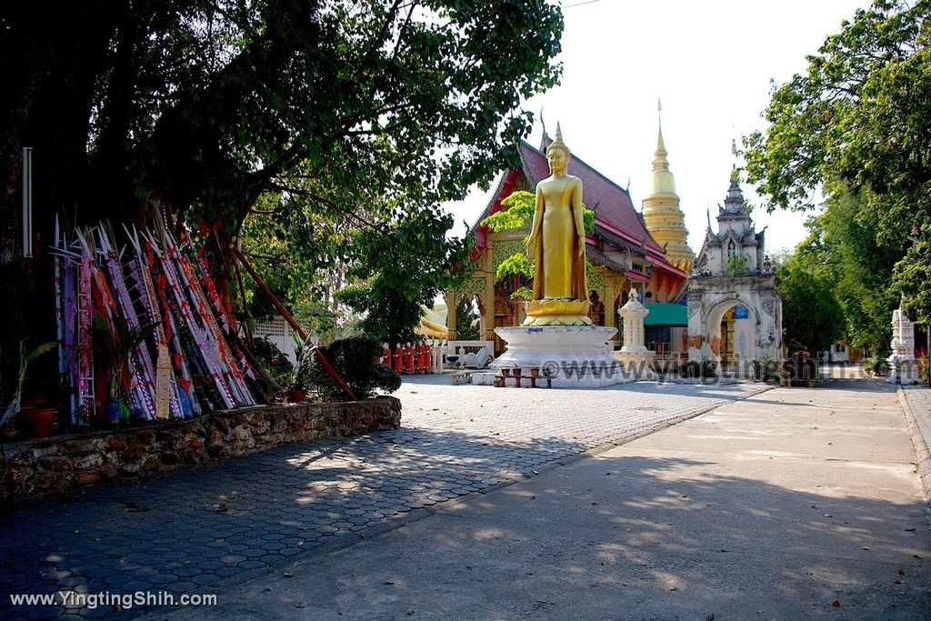 YTS_YTS_20200201_泰國南奔烏蒙寺／金色臥佛Thailand Lamphun Wat Umong007_539A3555.jpg