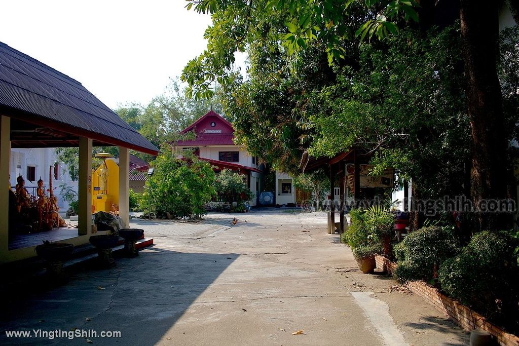 YTS_YTS_20200201_泰國南奔烏蒙寺／金色臥佛Thailand Lamphun Wat Umong014_539A3572.jpg