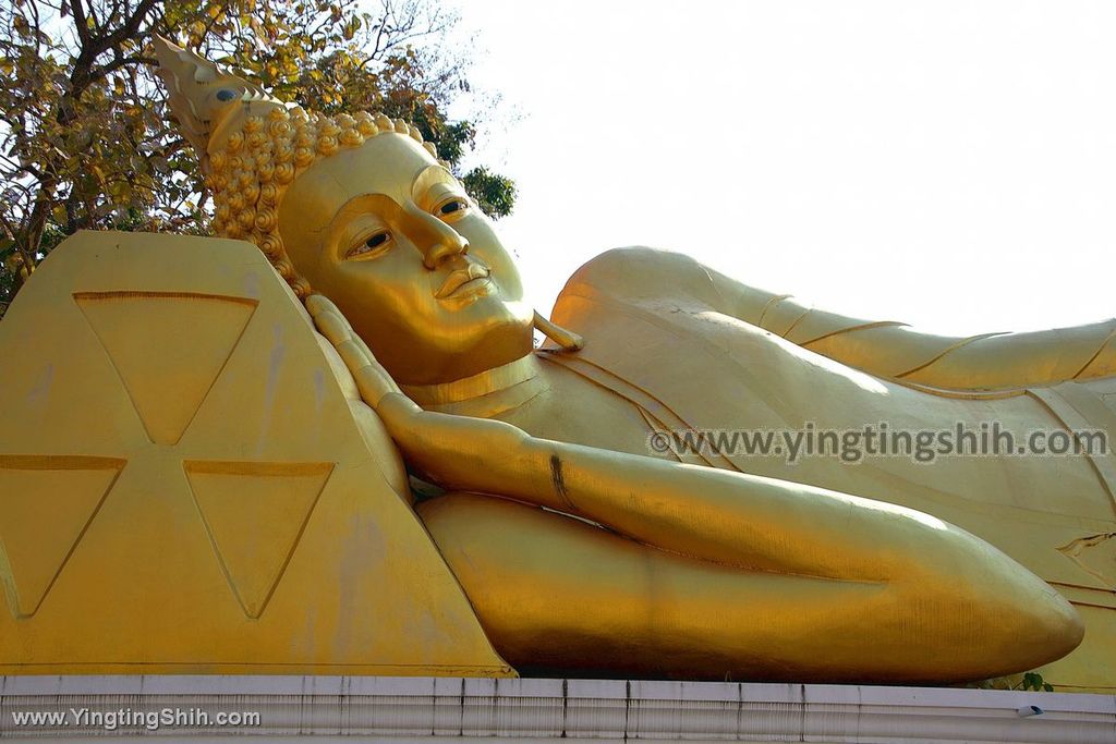 YTS_YTS_20200201_泰國南奔烏蒙寺／金色臥佛Thailand Lamphun Wat Umong032_539A3600.jpg