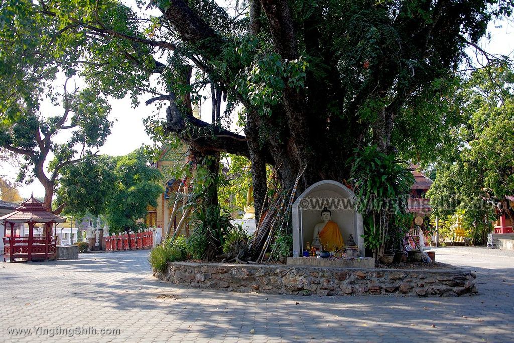 YTS_YTS_20200201_泰國南奔烏蒙寺／金色臥佛Thailand Lamphun Wat Umong041_539A3614.jpg