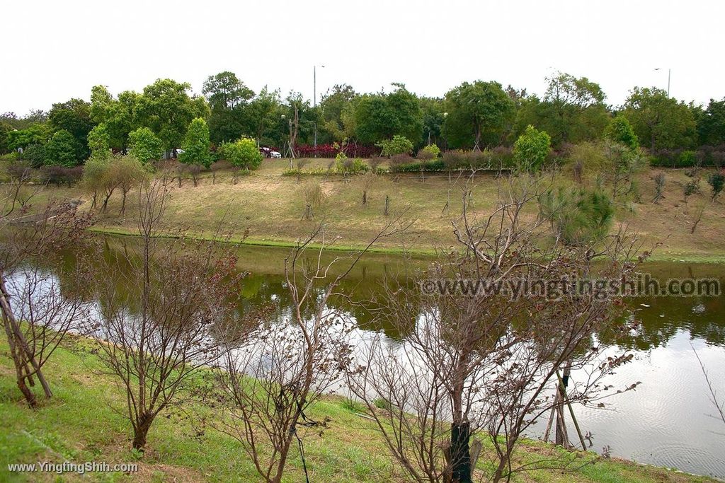 YTS_YTS_20200229_苗栗後龍童趣公園／攀岩親子樂園／森林教室Miaoli Houlong013_539A1831.jpg