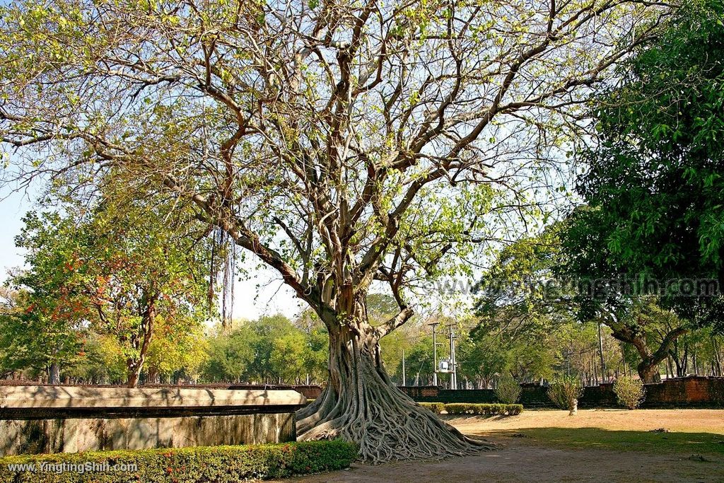 YTS_YTS_20200128_泰國素可泰歷史公園西沙瓦寺Thailand Sukhothai016_539A8381.jpg