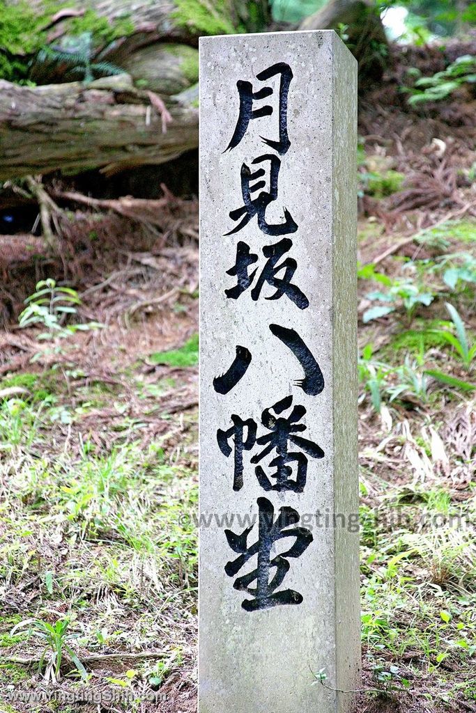 YTS_YTS_20190727_日本東北岩手世界文化遺產中尊寺／金色堂／白山神社能樂殿Japan Tohoku Iwate024_539A5712.jpg